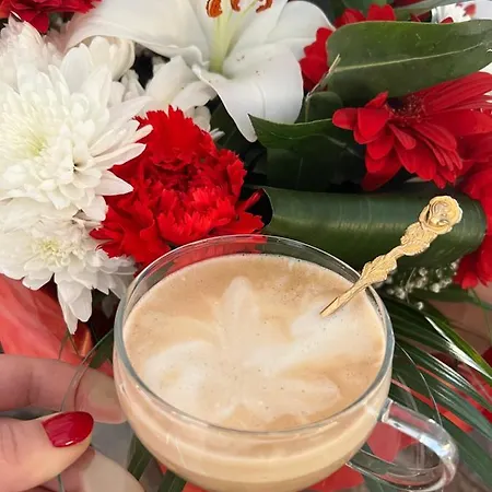 Appartement Kaiser's Freundschaft *